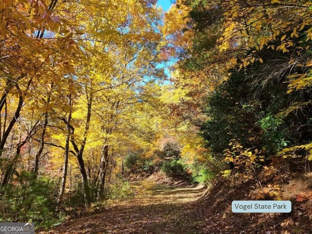 view of landscape featuring a forest view