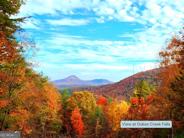 property view of mountains with a forest view