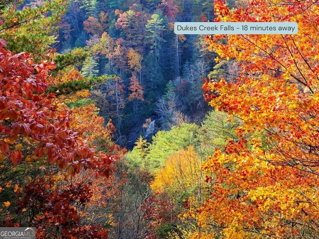 drone / aerial view with a wooded view