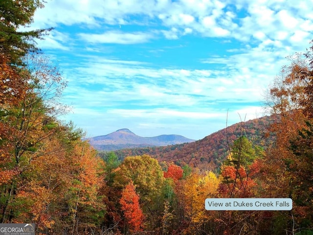 view of mountain feature