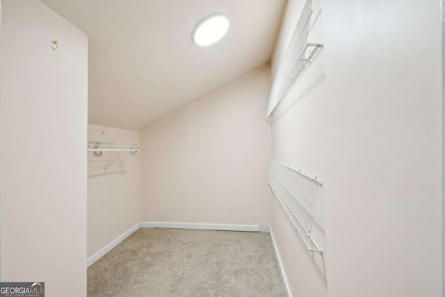 spacious closet featuring light carpet