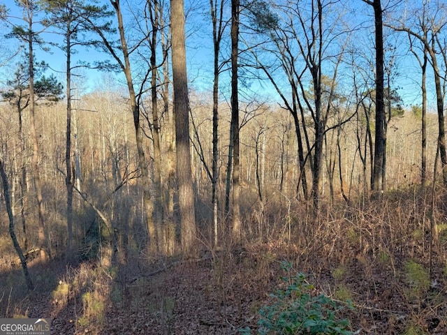 LOT34 Hilton Dr, Ellijay, GA 30540