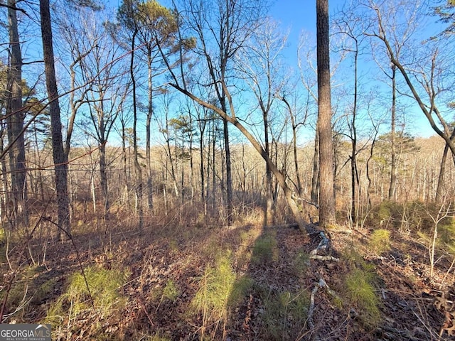 LOT34 Hilton Dr, Ellijay, GA 30540