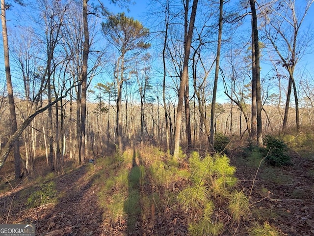 LOT34 Hilton Dr, Ellijay, GA 30540