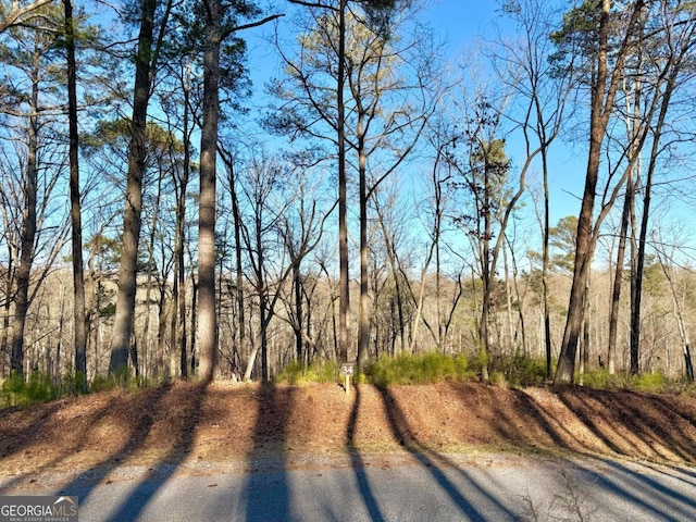 LOT34 Hilton Dr, Ellijay, GA 30540