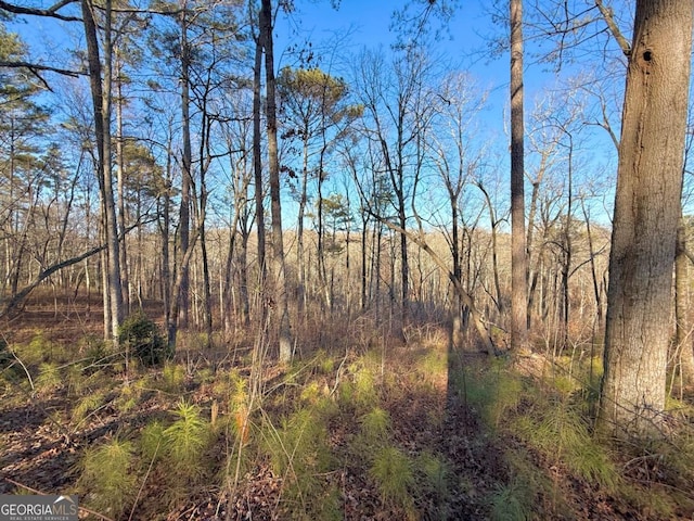 LOT34 Hilton Dr, Ellijay, GA 30540