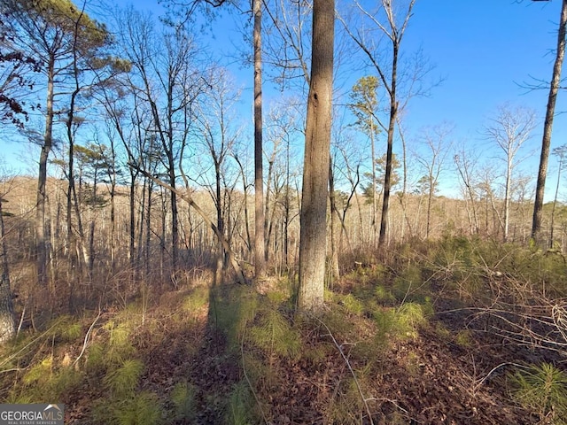 LOT34 Hilton Dr, Ellijay, GA 30540