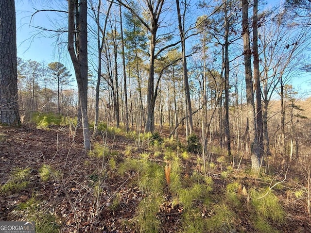 LOT34 Hilton Dr, Ellijay, GA 30540