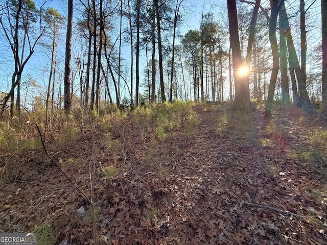 LOT34 Hilton Dr, Ellijay, GA 30540