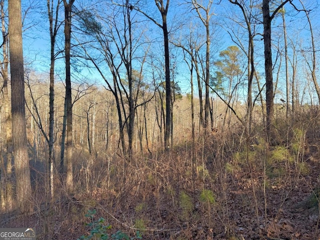 LOT34 Hilton Dr, Ellijay, GA 30540