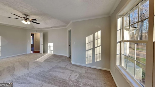 carpeted empty room featuring crown molding, ceiling fan, a textured ceiling, and a wealth of natural light