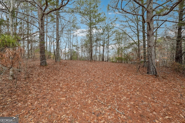 8265 Seabolt Dr, Cumming, GA 30028