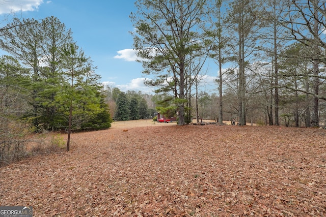 8265 Seabolt Dr, Cumming, GA 30028