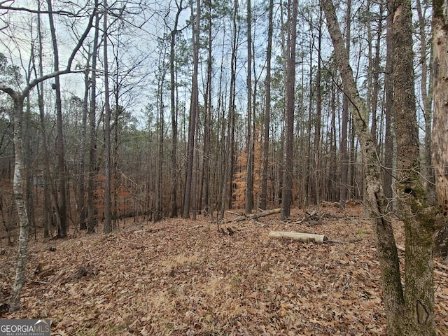 view of nature with a wooded view