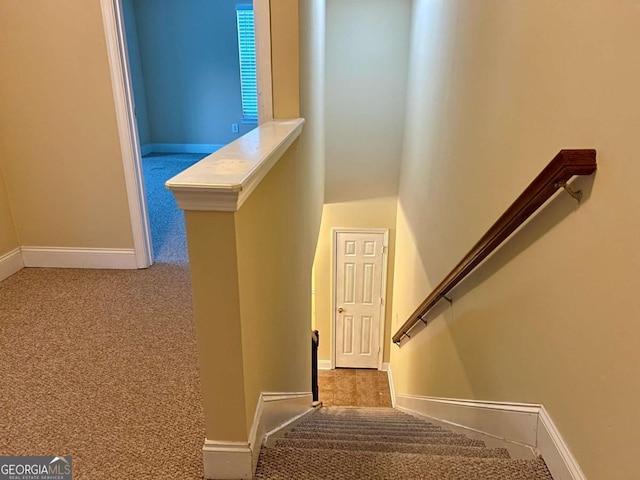 staircase with carpet flooring