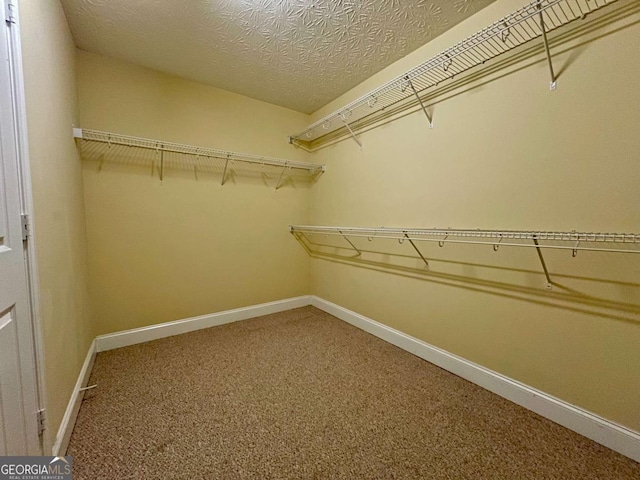 spacious closet featuring carpet floors