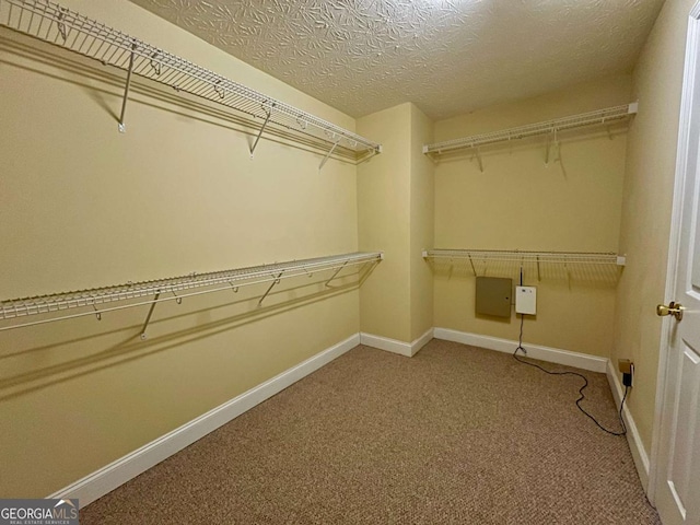 walk in closet featuring carpet floors