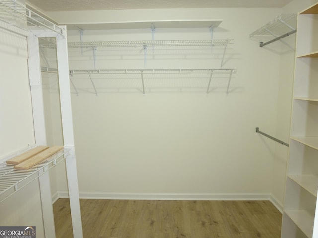 spacious closet featuring light wood-style floors