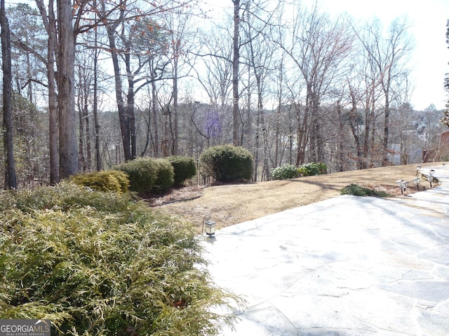 view of yard with a patio and a forest view