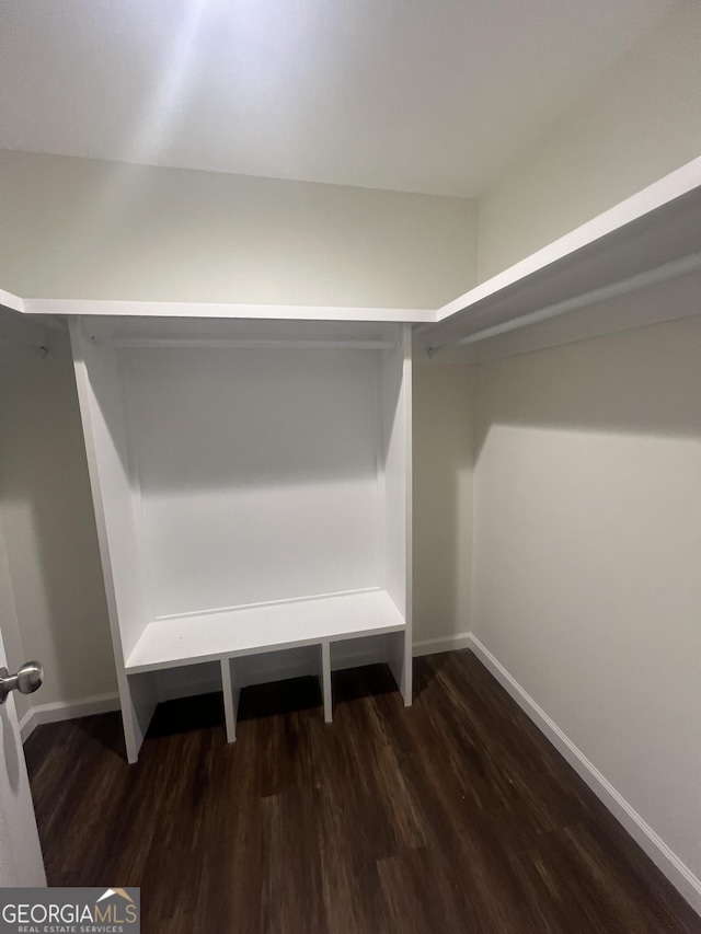 walk in closet featuring dark hardwood / wood-style floors