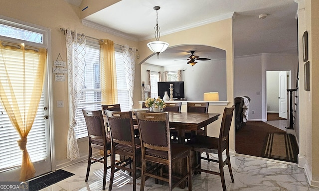 dining space featuring a healthy amount of sunlight, crown molding, and ceiling fan