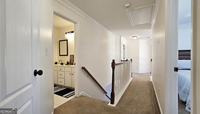 hall featuring light carpet and ornamental molding