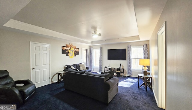 carpeted living room featuring a raised ceiling