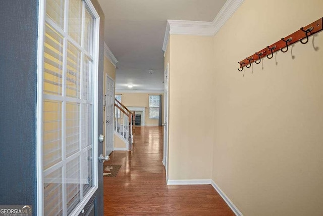 corridor with crown molding and dark hardwood / wood-style floors