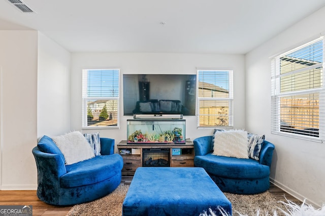 living room featuring wood-type flooring