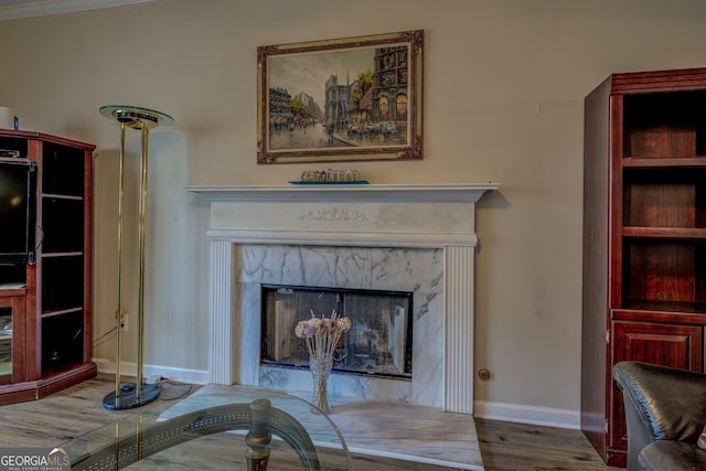 living room with wood-type flooring and a fireplace