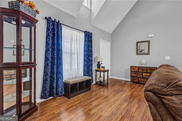 living room featuring wood-type flooring and vaulted ceiling