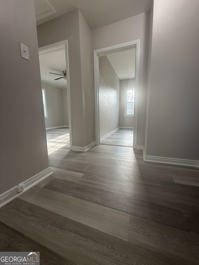 hall featuring wood-type flooring