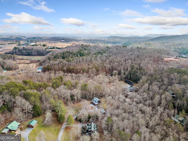 drone / aerial view with a mountain view