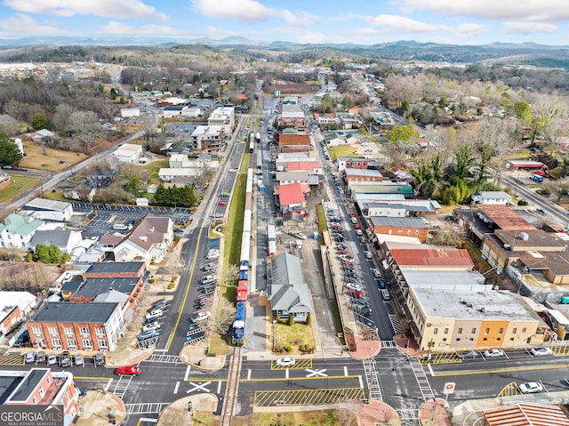 bird's eye view