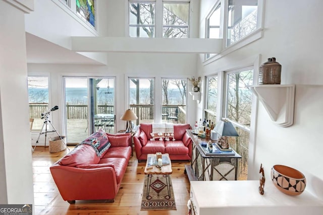 living room with a high ceiling and light hardwood / wood-style flooring