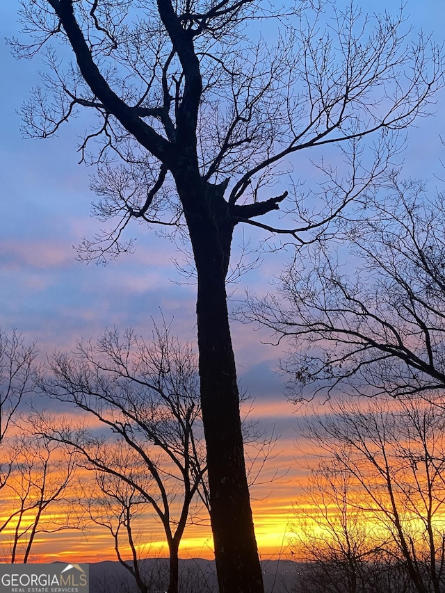 view of nature at dusk