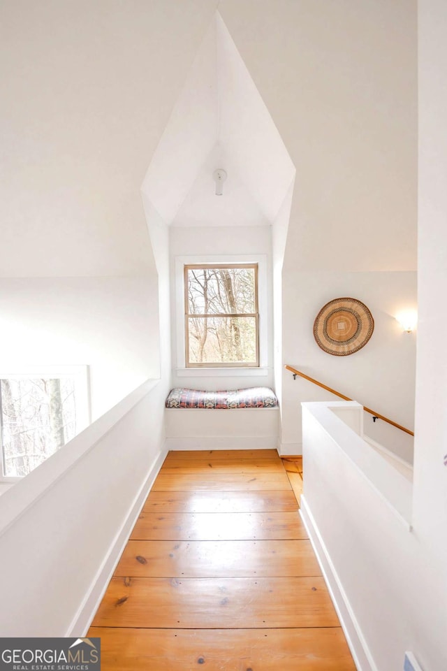 hallway with wood-type flooring