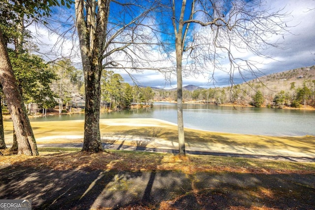 property view of water featuring a mountain view