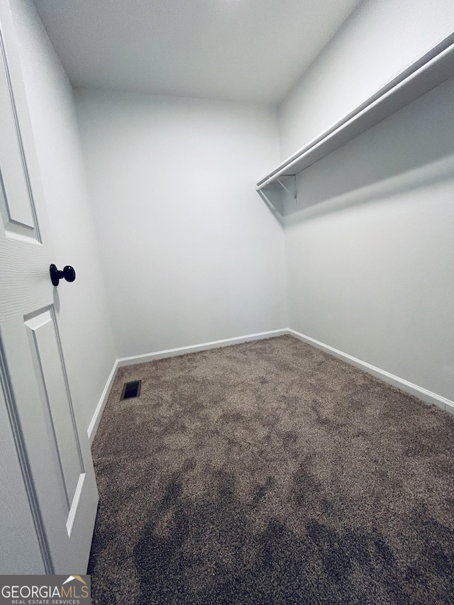 spacious closet featuring carpet