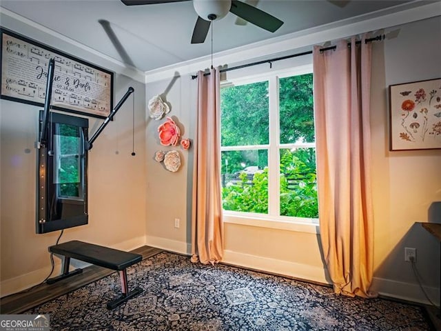 entryway with hardwood / wood-style flooring and ceiling fan