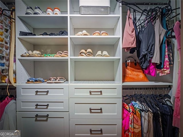 view of walk in closet