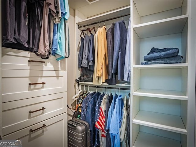 view of spacious closet