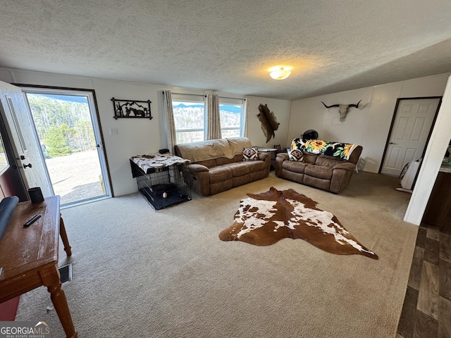 living room with carpet floors and a textured ceiling