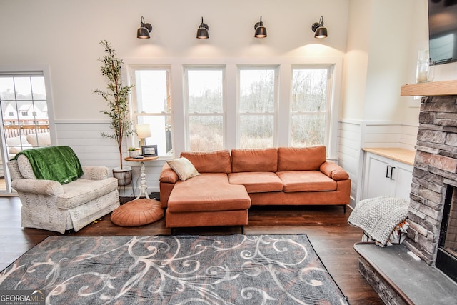 living room with dark hardwood / wood-style flooring and a fireplace