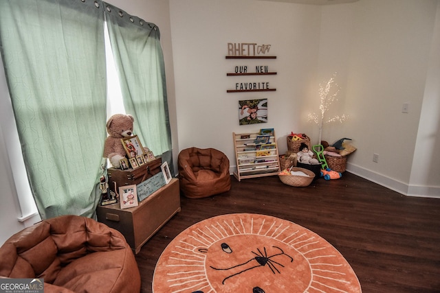 living area featuring dark wood-type flooring