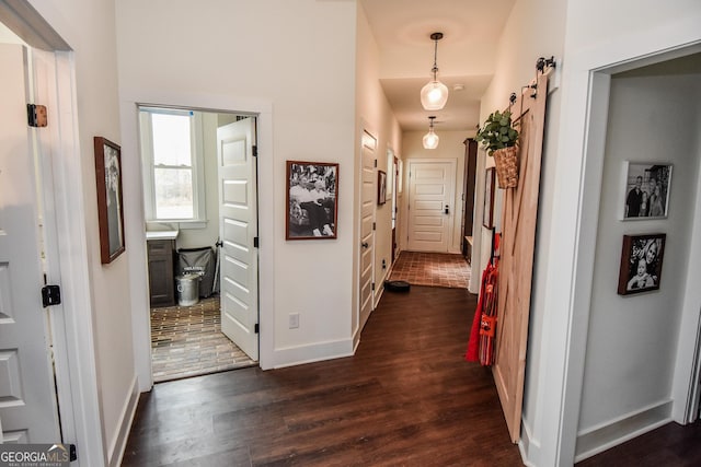 hall featuring a barn door and dark hardwood / wood-style flooring