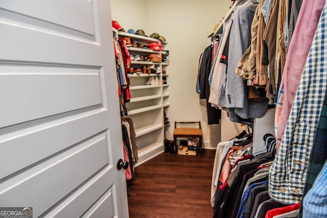 spacious closet featuring dark hardwood / wood-style flooring