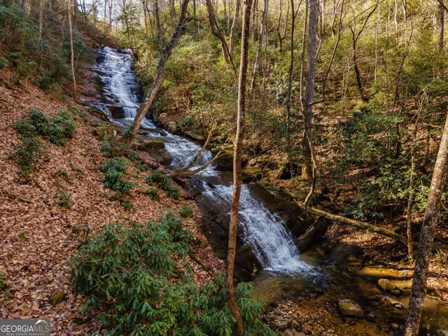 185 Huckleberry Cove Rd, Jasper, GA 30143 - view of nature
