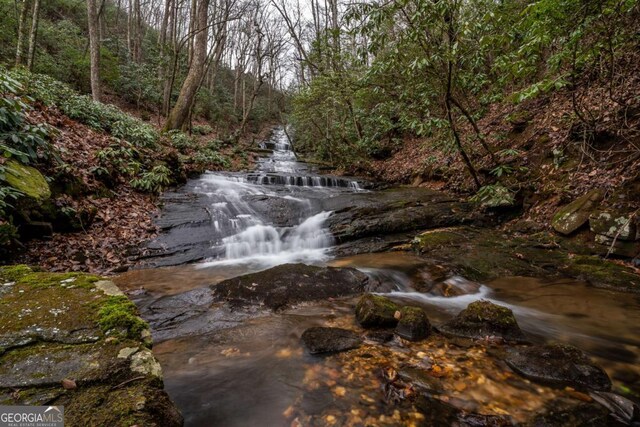 185 Huckleberry Cove Rd, Jasper, GA 30143 - exterior view of a heavily wooded area