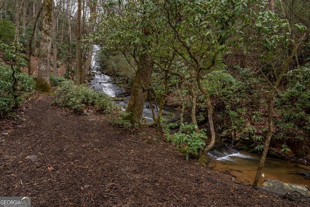 185 Huckleberry Cove Rd, Jasper, GA 30143 - view of yard